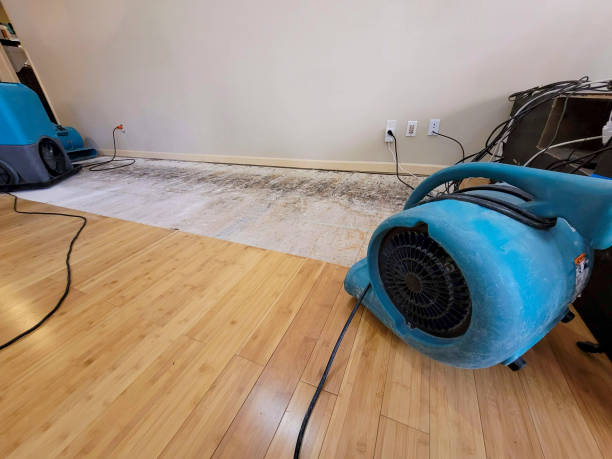 Professional Flood Damage Cleanup technician working in Pinckney, MI